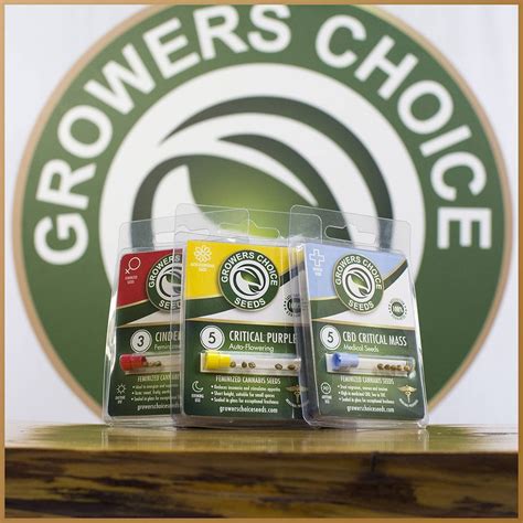 Growers Choice Seeds breeder. Seed bank info - GrowDiaries