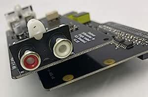 Audio Injector RCA preamplifier for The AI-ABS v1 Standard : Amazon.in ...