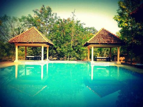 Tuli Tiger Corridor- Pench Pool: Pictures & Reviews - Tripadvisor