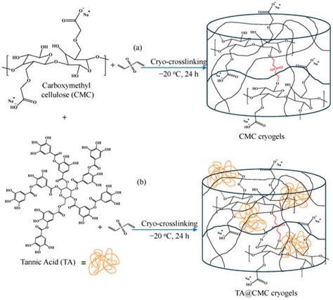 Polysaccharides | December 2024 - Browse Articles