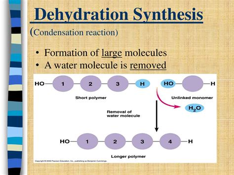 PPT - Exploring Organic Molecules: Biochemistry Essentials PowerPoint ...