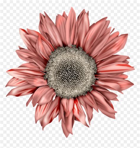 Image result for Flirc CAD Models