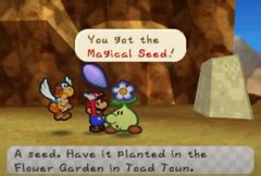 Magical Seed - Super Mario Wiki, the Mario encyclopedia