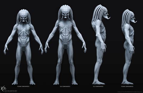 Predator Design 的图像结果