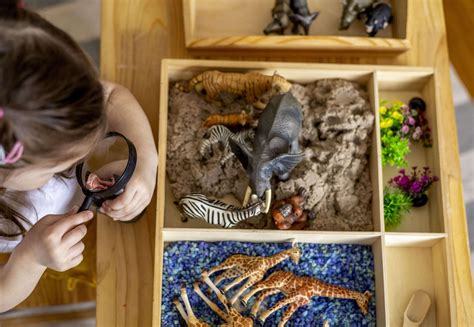 Play Based Learning: 5 Amazing Ways It Shapes Young Minds