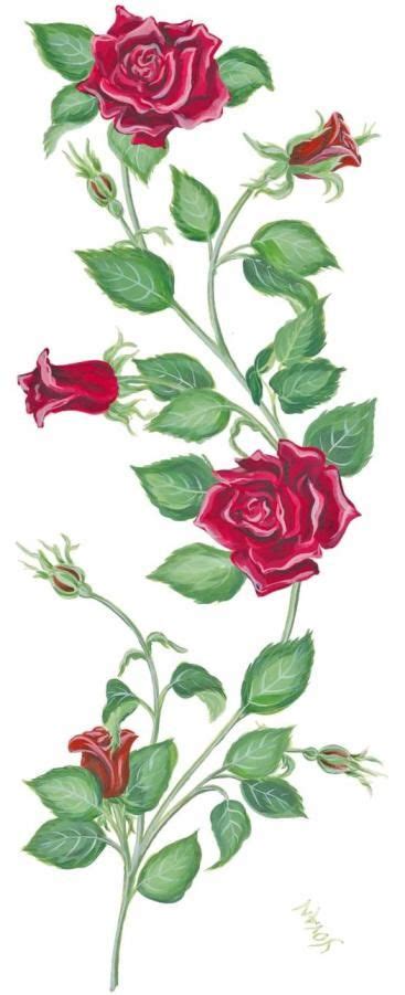 Rose Vine Drawing at GetDrawings | Free download