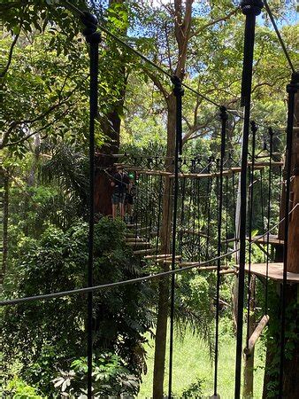 TreeTop Challenge (Woombye) - 2022 What to Know Before You Go (with ...