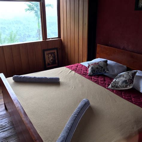 NEST WOOD BUNGALOW (Kalawana) - Guesthouse Reviews & Photos - Tripadvisor