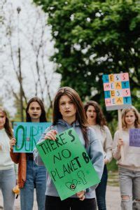 Environmentalist Purpose Example 的图像结果