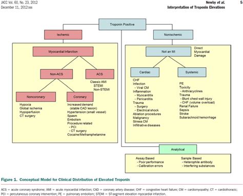 Pedi cardiology: Consensus Statement on Interpretation of Troponin Elevation