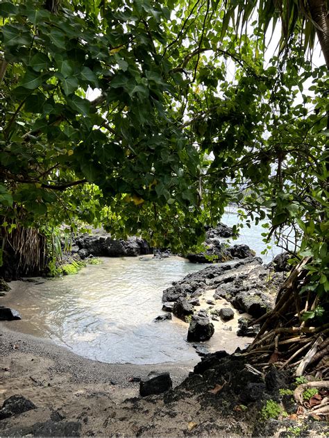 Everything You Need to Know Before Visiting Carlsmith Beach Park (Four ...