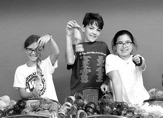 Image result for Creative Adventure Lab