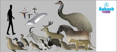 Biodiversity: Definition, Types, Genetic Diversity & Importance | AESL