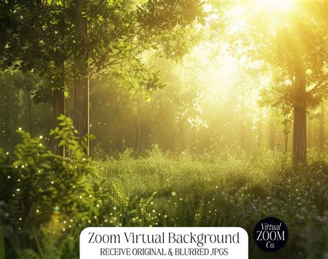 Meeting Background 的图像结果