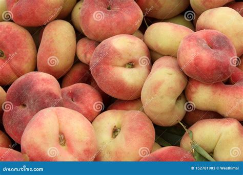 Prunus Persica `Donut`, Doughnut or Saturn Peach, Formerly P. Persica Var Stock Image - Image of ...