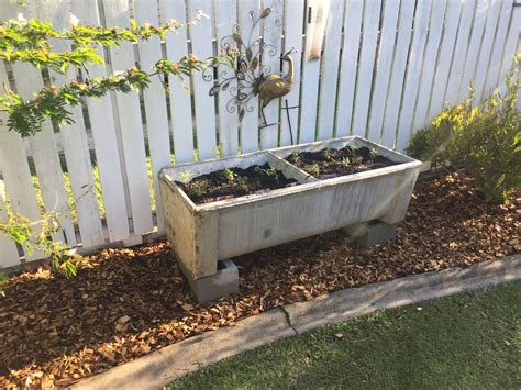 Old Concrete Laundry Tub Repurposed for Flower Garden