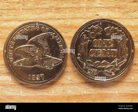 currency of the USA 1 cent coin obverse showing Flying Eagle and ...