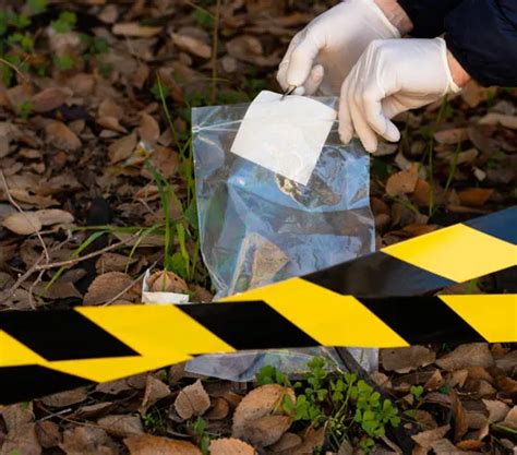 B.Sc. in Forensic Science | Medicaps University