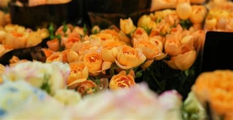 呈贡区买什么礼物最新素材