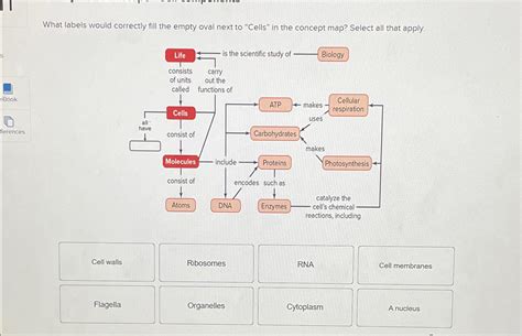 Solved What labels would correctly fill the empty oval next | Chegg.com