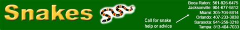 Image result for Innovative Locators in Selenium Java