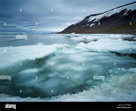Bockfjord with pack ice, Spitsbergen Island, Svalbard Archipelago ...