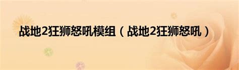 战地2狂狮怒吼2.0下载-战地2狂狮怒吼2.0模组下载v2-战争游戏网