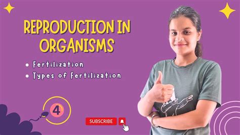 Image result for Fertilisation Types