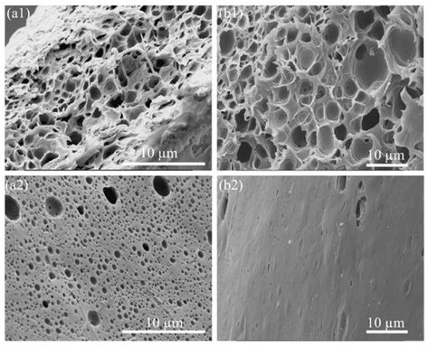 Fabricating Fibers of a Porous-Polystyrene Shell and Particle-Loaded Core