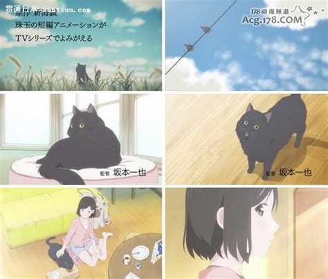 新海诚TV动画《她和她的猫》宣传片曝光图片_动漫美女_秀色女神