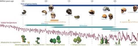 Human Evolution Scale 的图像结果