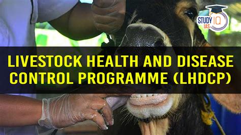 Livestock Health and Disease Control Programme (LHDCP)