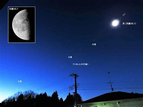7月の宵空(午後8時ごろ）に並ぶ4大惑星：達人に訊け！：中日新聞Web