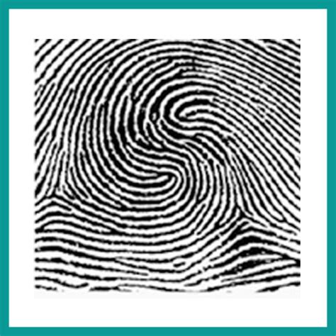 Surprising Facts About Fingerprints, Including Why We Even Have Them