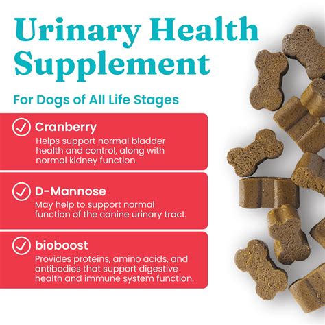 Snapklik.com : Cranberry Supplement For Dogs For Urinary Tract Health - Berry Balance w/Bioboost ...