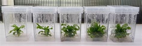 Press Release:Press Information Bureau