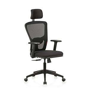 Featherlite ''Astro'' Mesh Home & Office Ergonomic Chair with ...