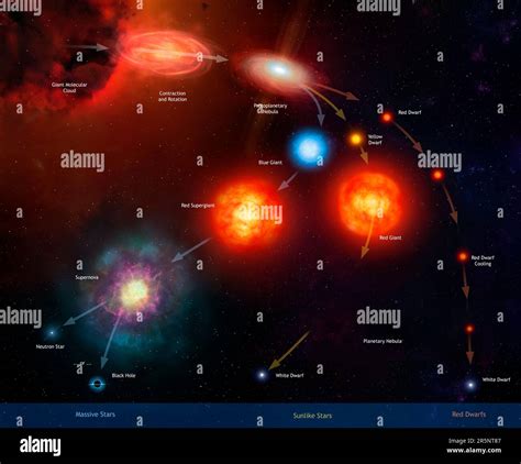 Stellar Evolution Life Cycle A Star Royalty Free Vector