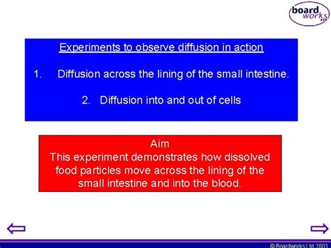 Image result for Easy Diffusion Experiments