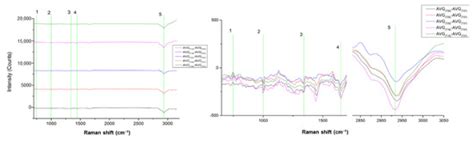 Subtyping on Live Lymphoma Cell Lines by Raman Spectroscopy