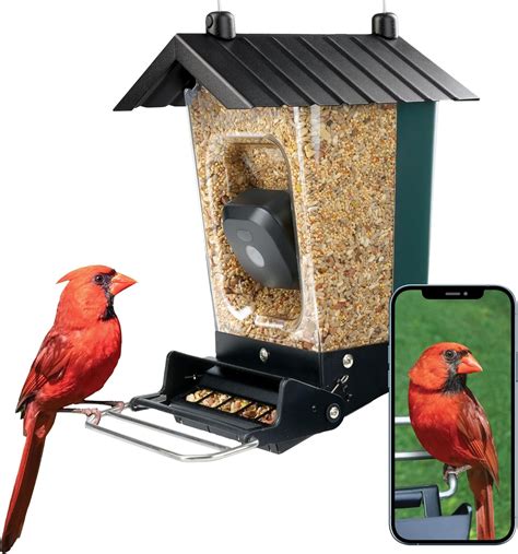 Amazon.com: Perky-Pet Smart Bird Feeder with Camera - Squirrel ...