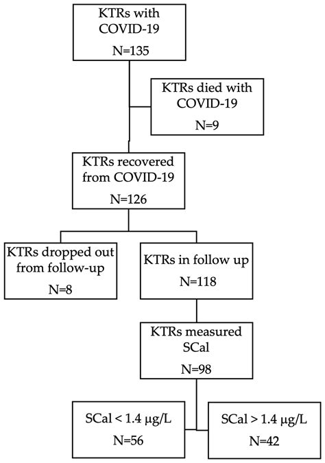 Associations of Serum Calprotectin, Arterial Stiffness and Long COVID ...