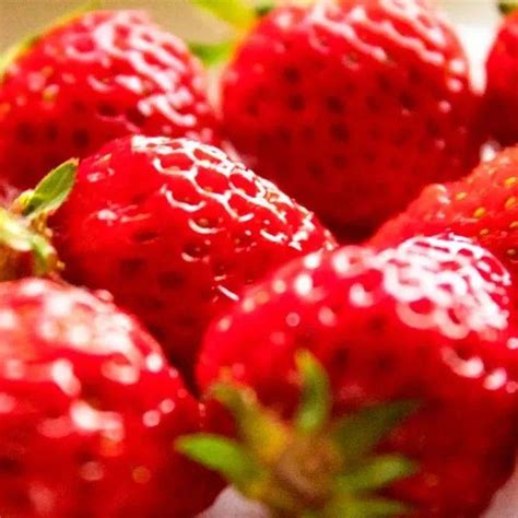 “吃草莓会导致得出血热”？专家辟谣！_专家辟谣吃草莓会得出血热_西安市_发病