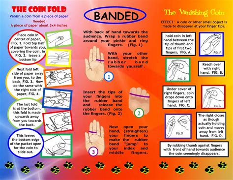 Image result for Free Magic Tricks Tutorials