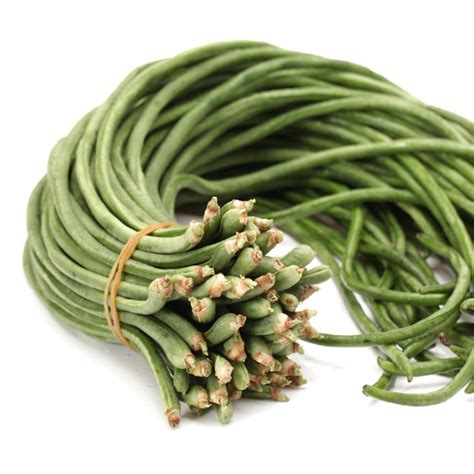 Image result for Python Snake Bean Seeds