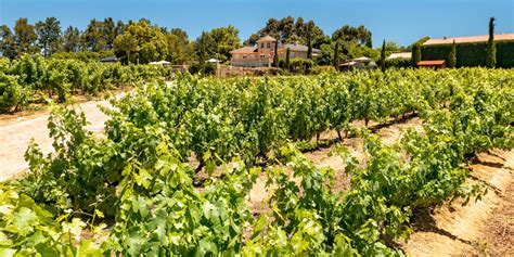 Clos Malverne Wine Estate | Wine in the Cape | Wine Estate