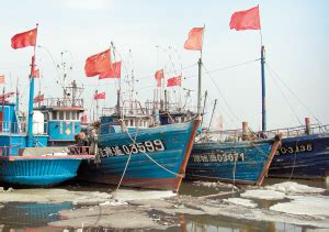 天津北塘码头 出海打鱼渔船 - 知乎