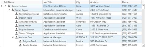 Image result for DevExpress Tree List