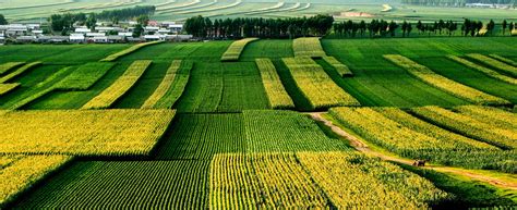 保护耕地 的图像结果