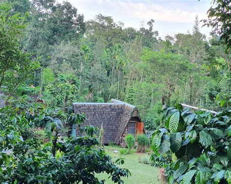 TURTLE POND HOME STAY (Coorg/Manchalli) - Guesthouse Reviews & Photos ...